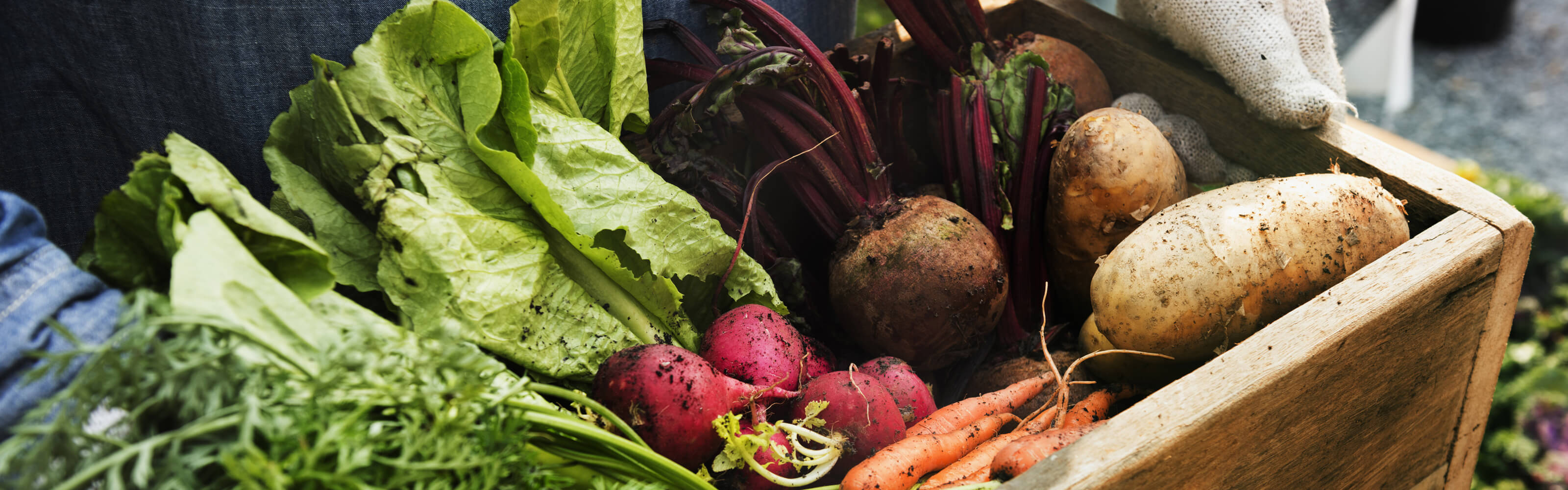 organic-veg-box-sub