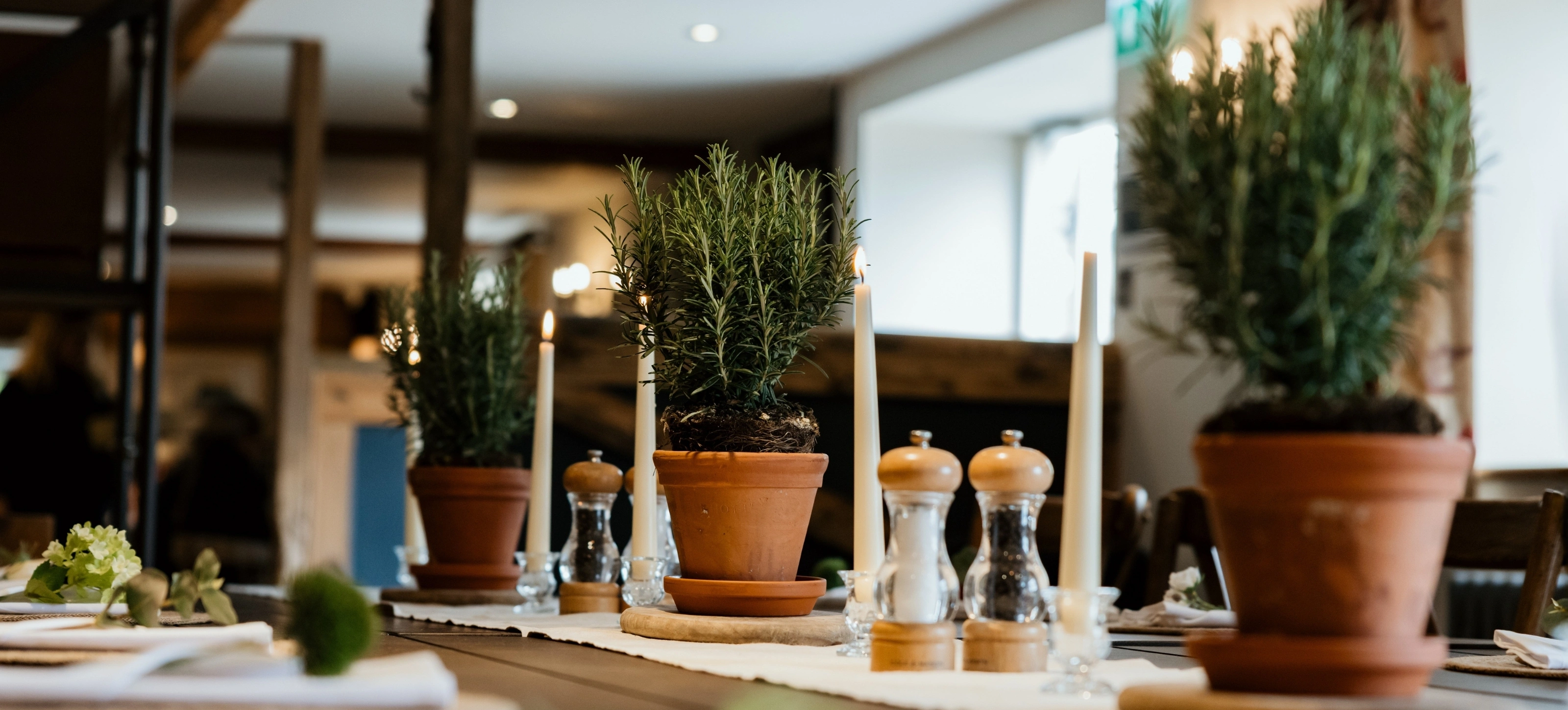 Header Tablet Dining Table with plant pots