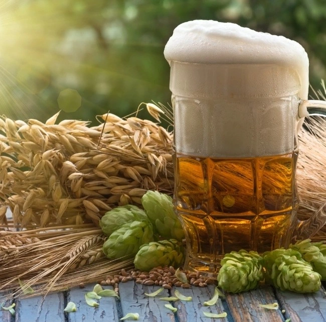 beer Beer and Hops
