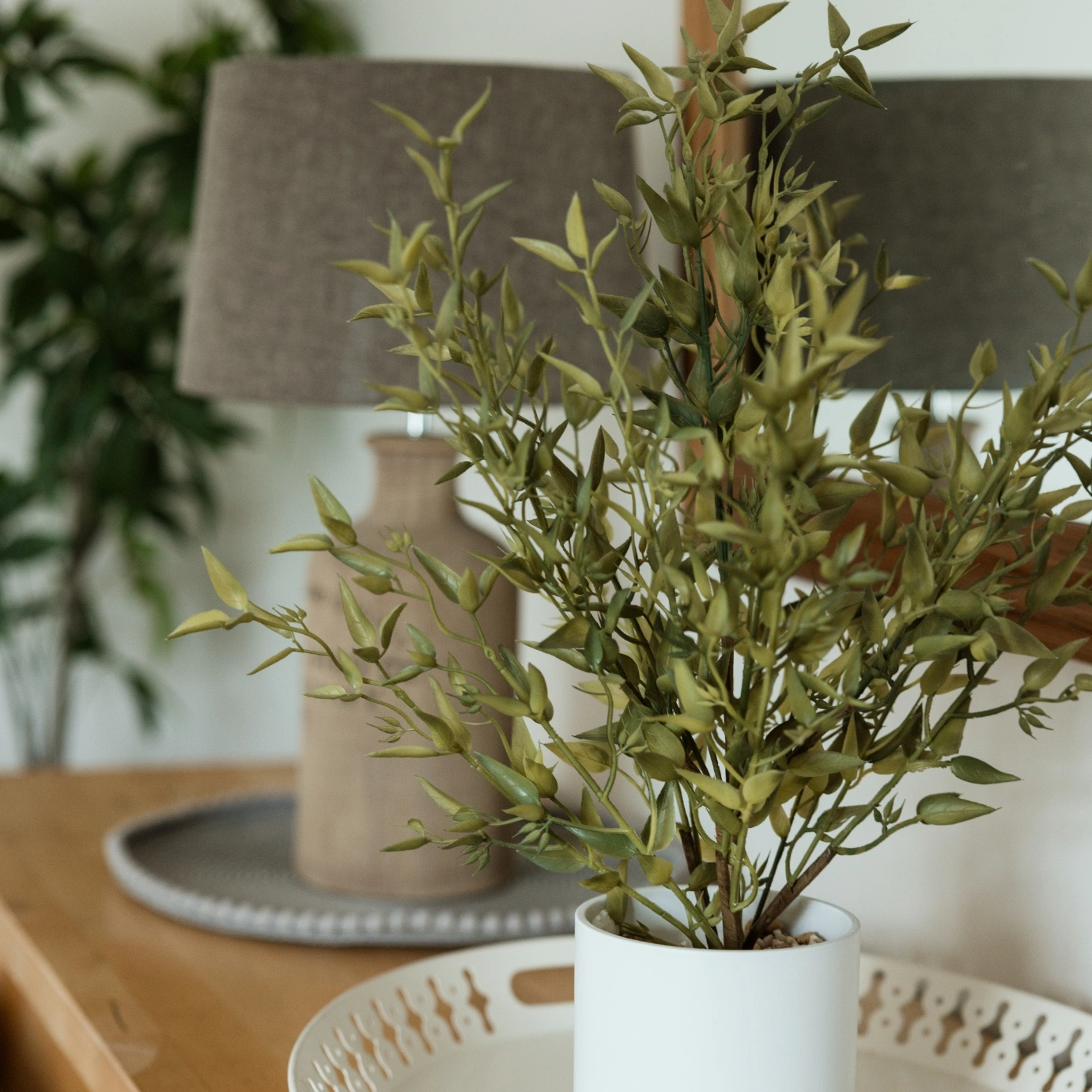 Pot Plant at The Stables at The White Horse Baston