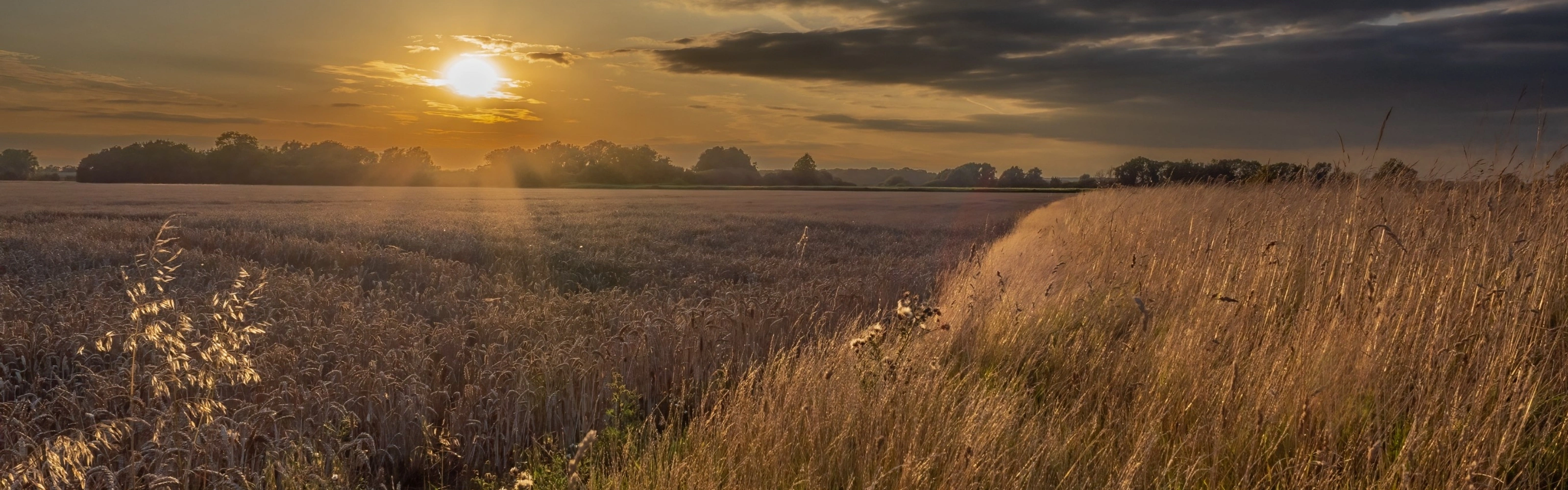 The White Horse Baston, Champaign Bottles